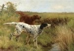 Irish & English SETTERS